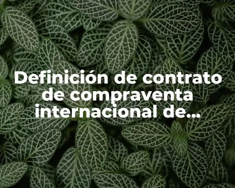 Definición de contrato de compraventa internacional de mercancías