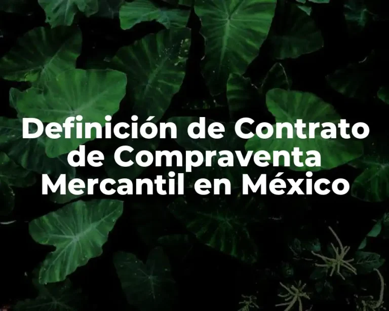 Definición de Contrato de Compraventa Mercantil en México