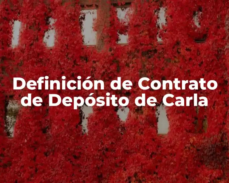 Definición de Contrato de Depósito de Carla