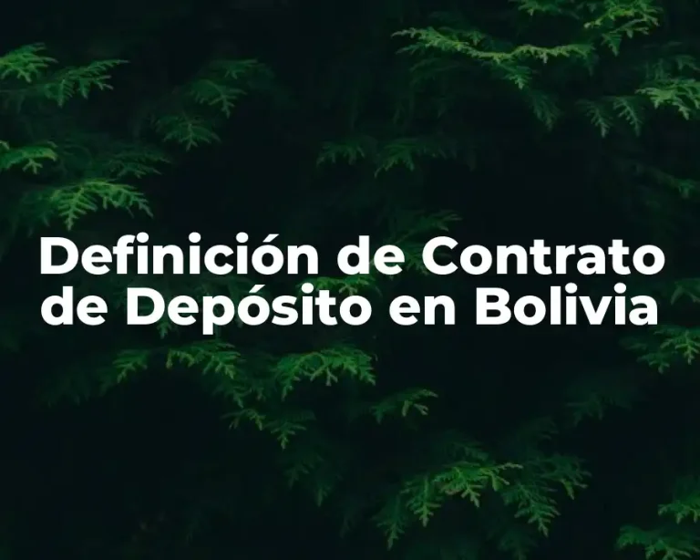 Definición de Contrato de Depósito en Bolivia