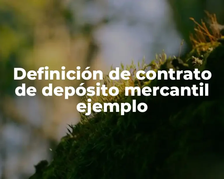 Definición de contrato de depósito mercantil ejemplo