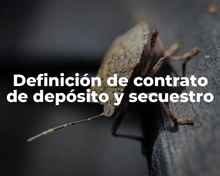 Definición de contrato de depósito y secuestro