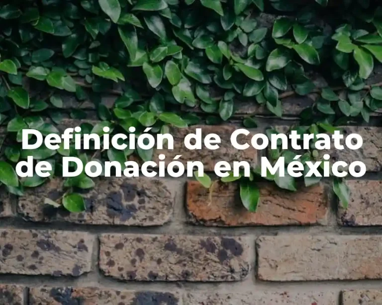 Definición de Contrato de Donación en México