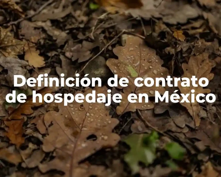 Definición de contrato de hospedaje en México