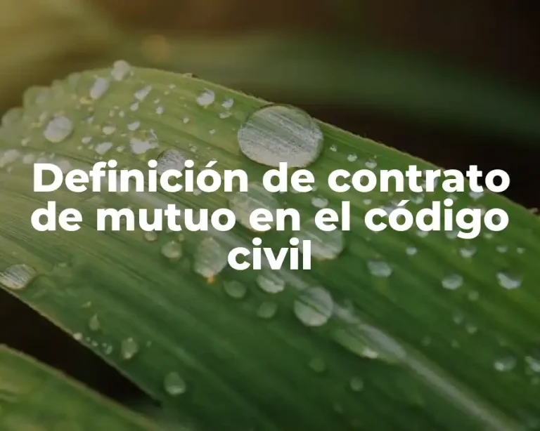 Definición de contrato de mutuo en el código civil
