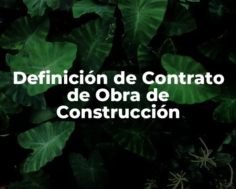 Definición de Contrato de Obra de Construcción