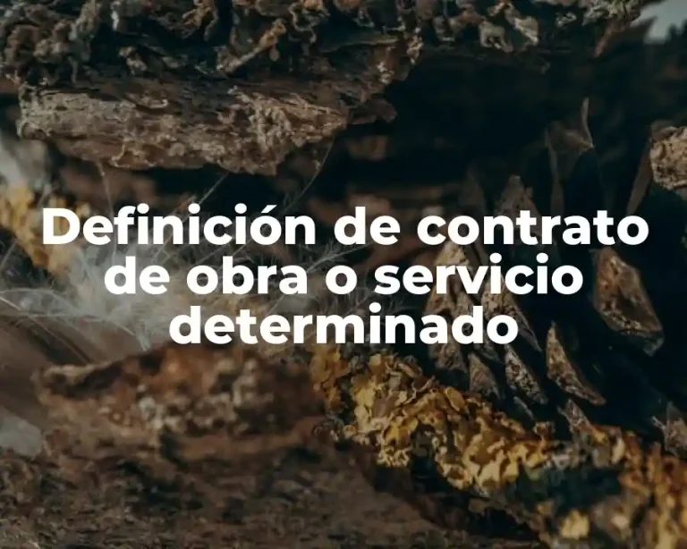 Definición de contrato de obra o servicio determinado