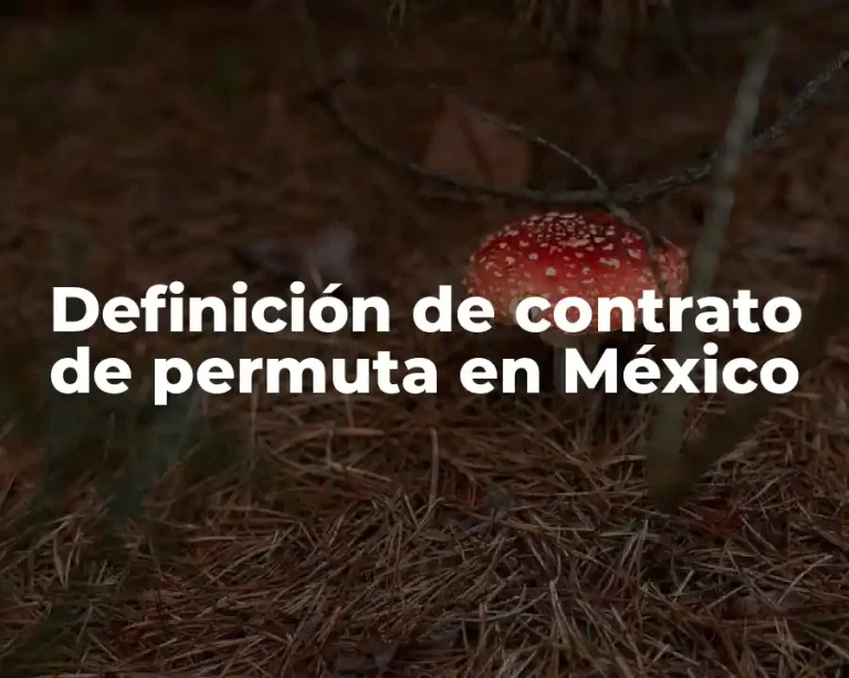 Definición de contrato de permuta en México