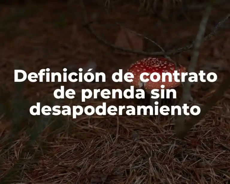 Definición de contrato de prenda sin desapoderamiento