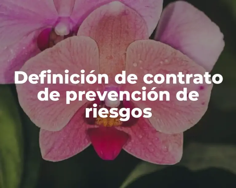 Definición de contrato de prevención de riesgos