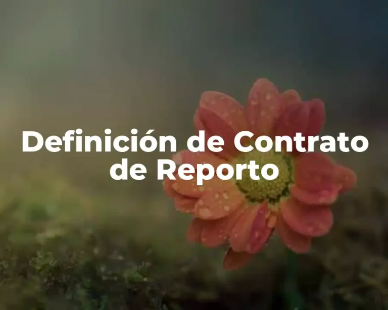 Definición de Contrato de Reporto