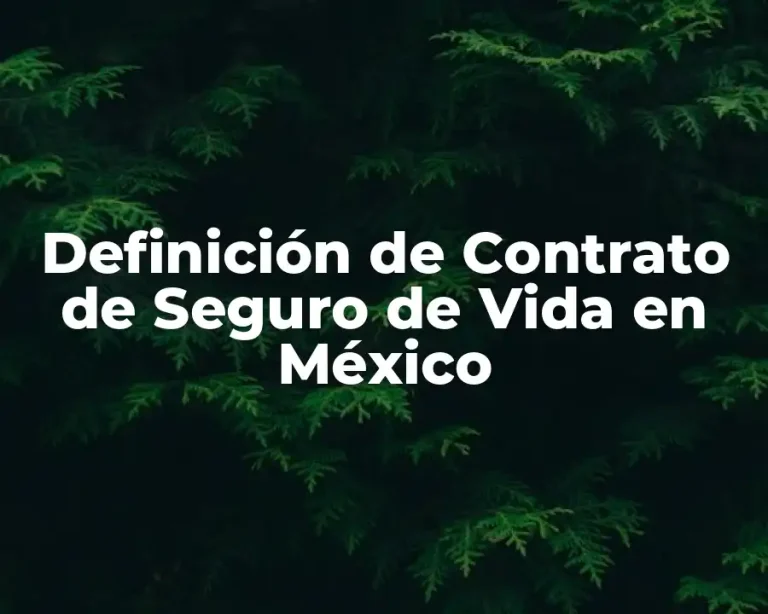 Definición de Contrato de Seguro de Vida en México