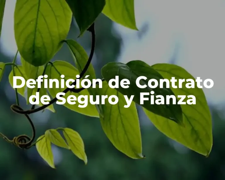 Definición de Contrato de Seguro y Fianza