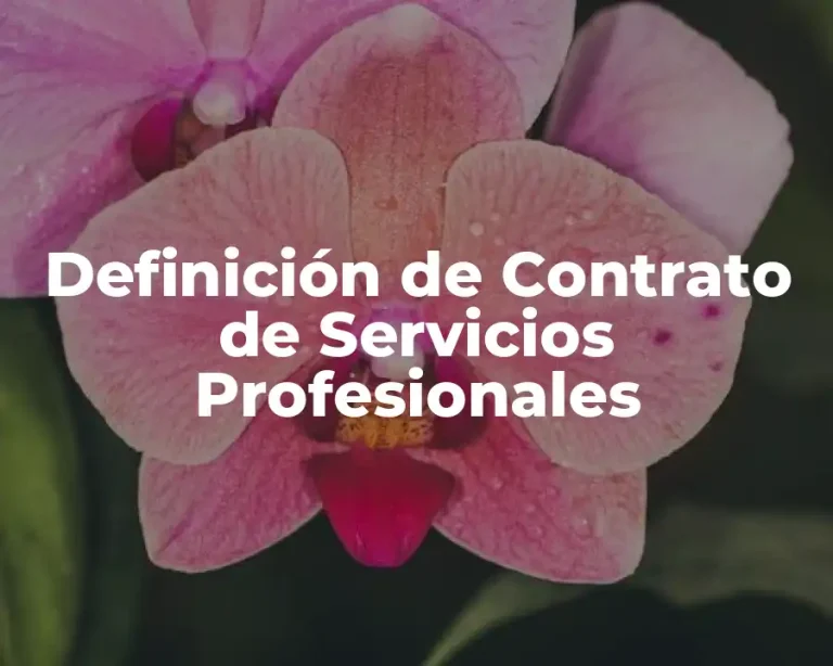 Definición de Contrato de Servicios Profesionales