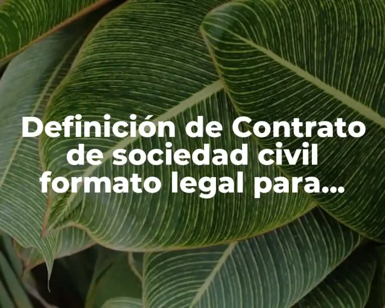 Definición de Contrato de sociedad civil formato legal para llenar