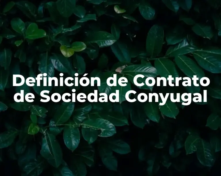 Definición de Contrato de Sociedad Conyugal