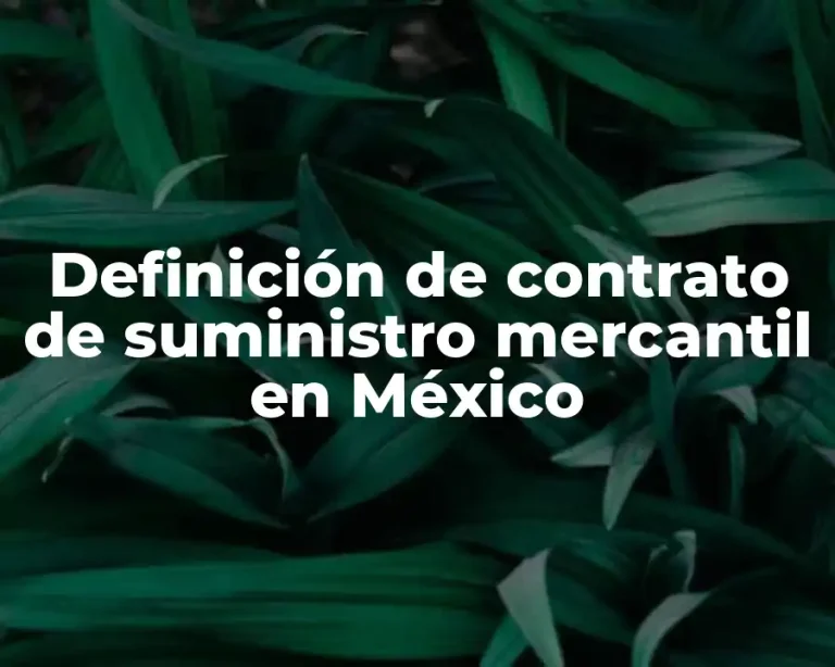 Definición de contrato de suministro mercantil en México