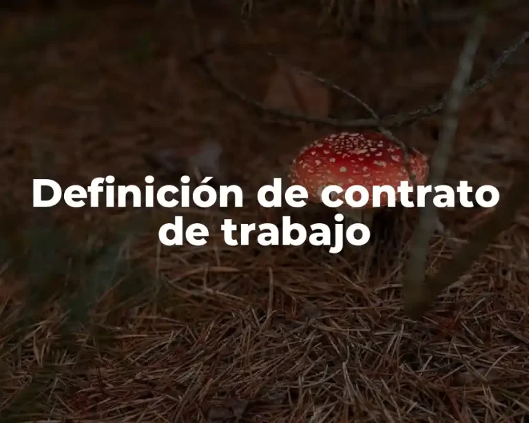 Definición de contrato de trabajo