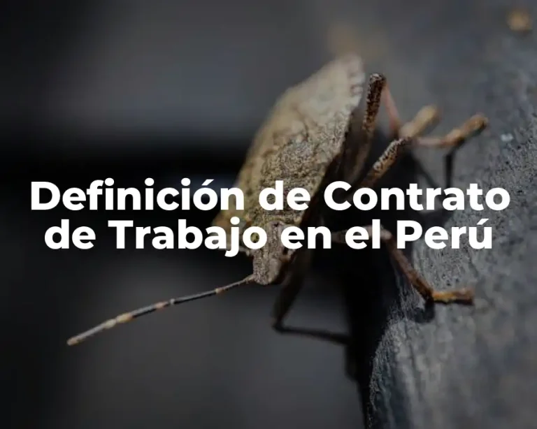 Definición de Contrato de Trabajo en el Perú