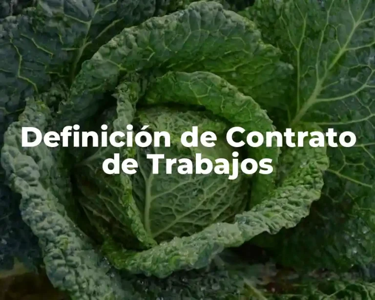 Definición de Contrato de Trabajos