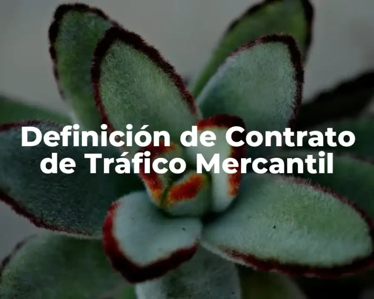 Definición de Contrato de Tráfico Mercantil