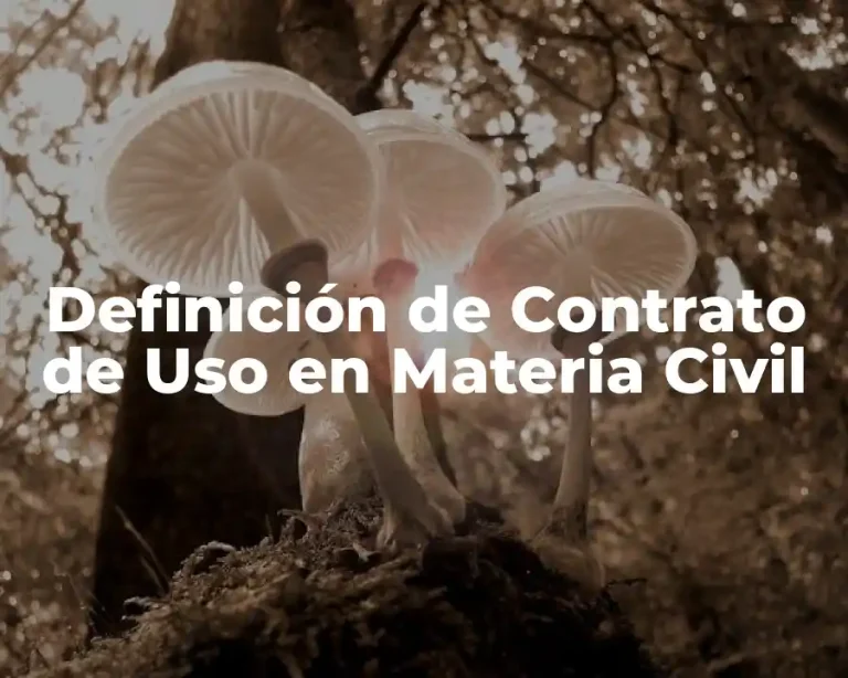 Definición de Contrato de Uso en Materia Civil