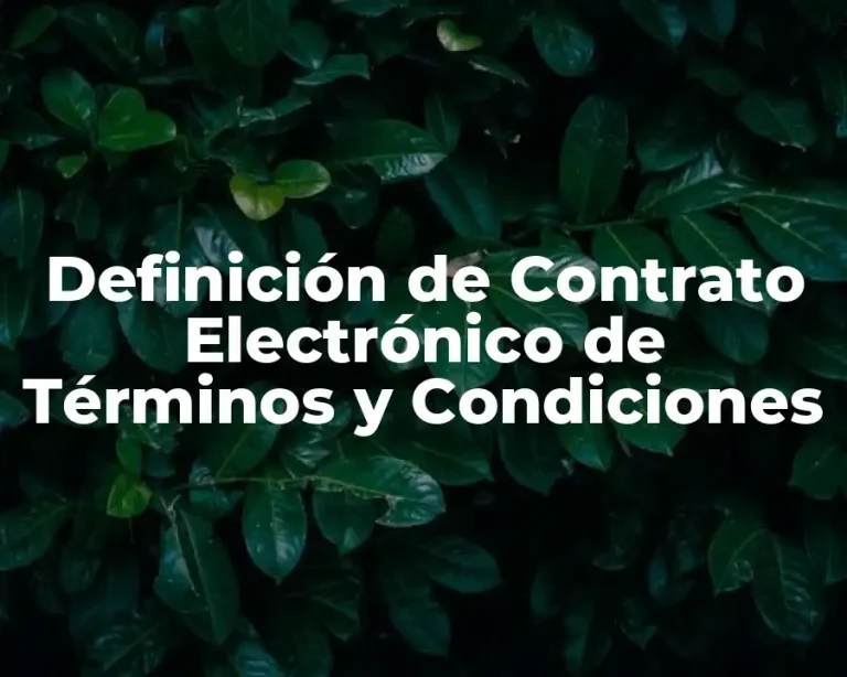 Definición de Contrato Electrónico de Términos y Condiciones