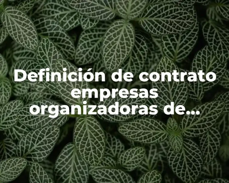 Definición de contrato empresas organizadoras de eventos