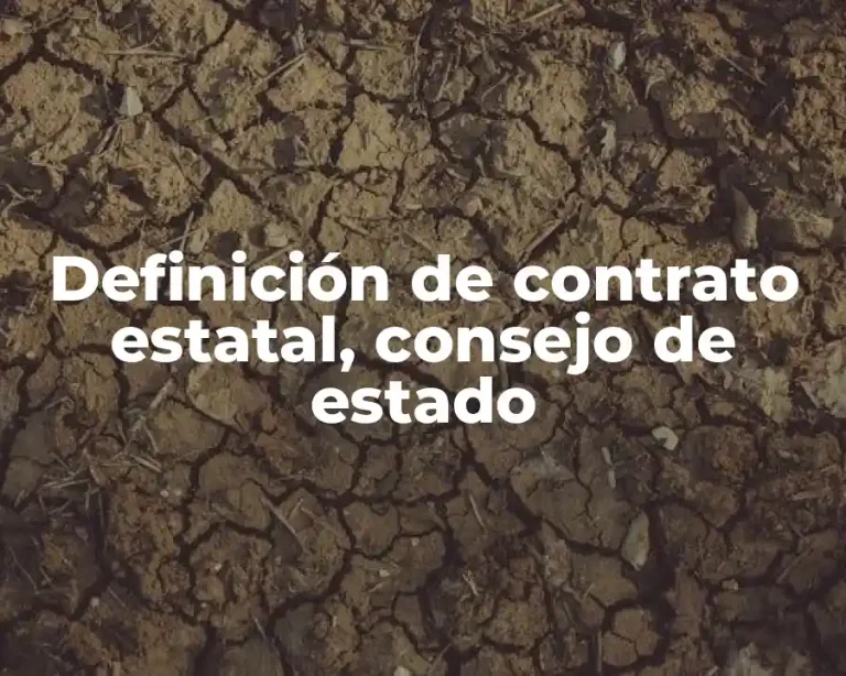 Definición de contrato estatal, consejo de estado