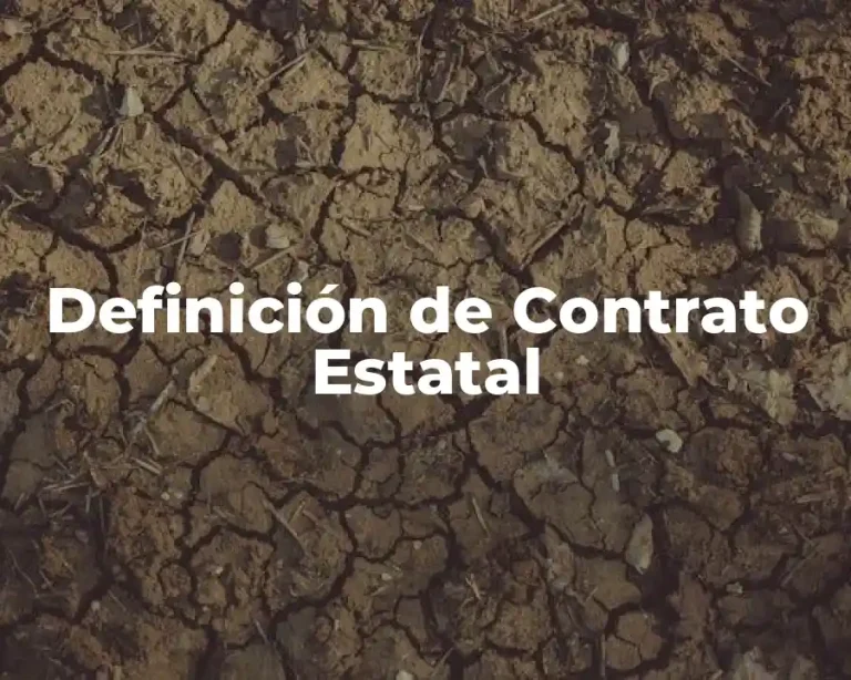 Definición de Contrato Estatal