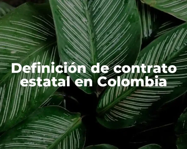 Definición de contrato estatal en Colombia