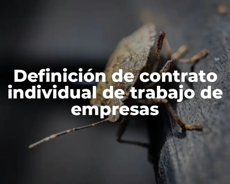 Definición de contrato individual de trabajo de empresas
