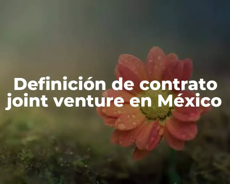 Definición de contrato joint venture en México