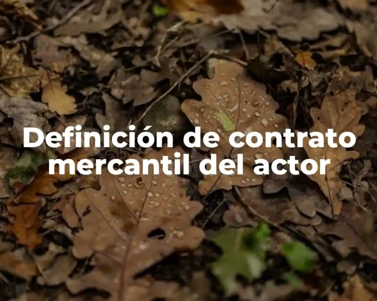 Definición de contrato mercantil del actor