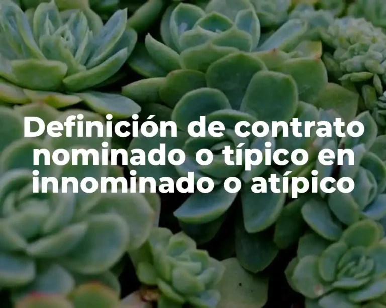 Definición de contrato nominado o típico en innominado o atípico