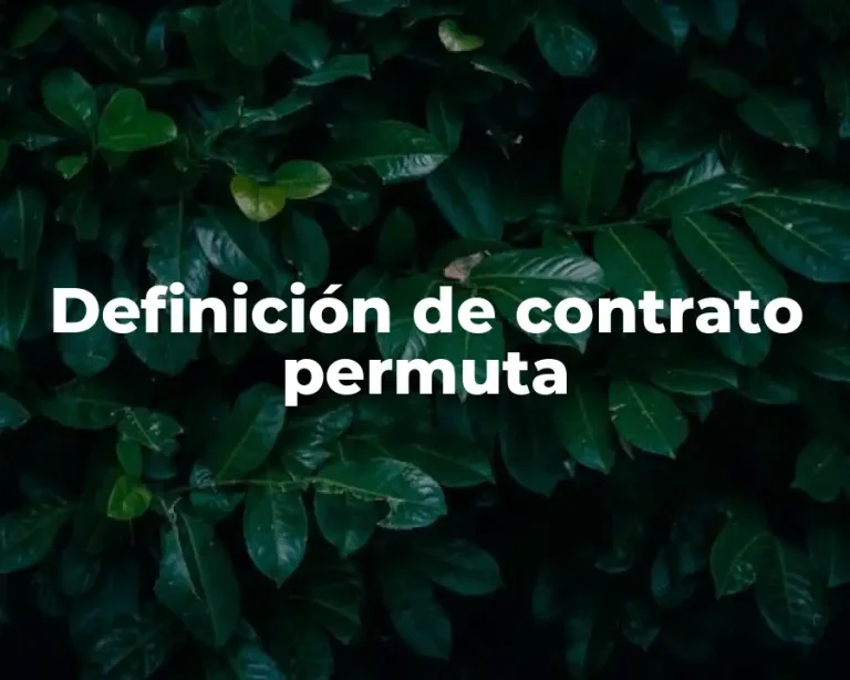 Definición de contrato permuta