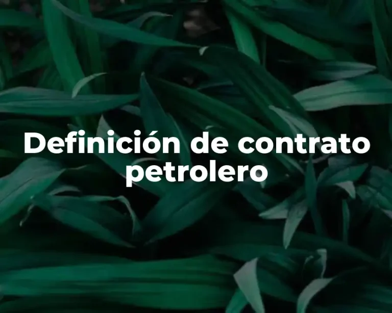 Definición de contrato petrolero