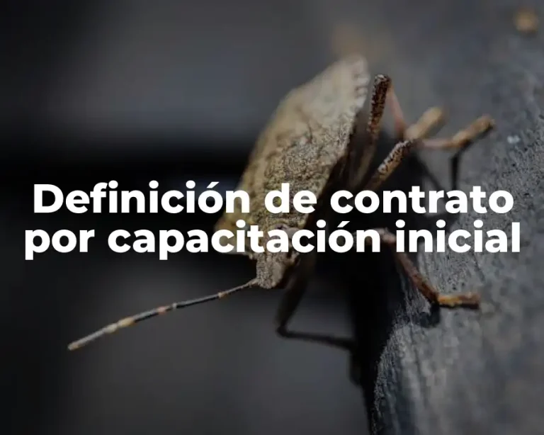 Definición de contrato por capacitación inicial