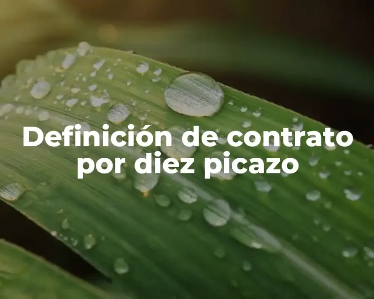 Definición de contrato por diez picazo