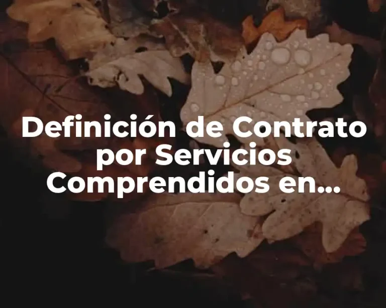 Definición de Contrato por Servicios Comprendidos en Bolivia