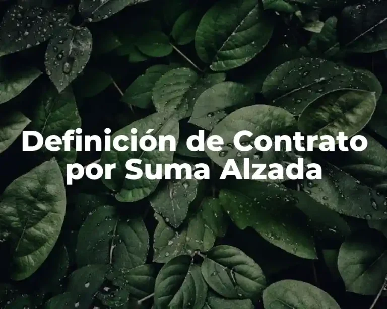 Definición de Contrato por Suma Alzada