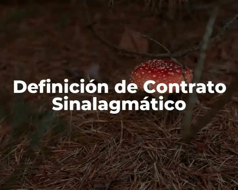 Definición de Contrato Sinalagmático
