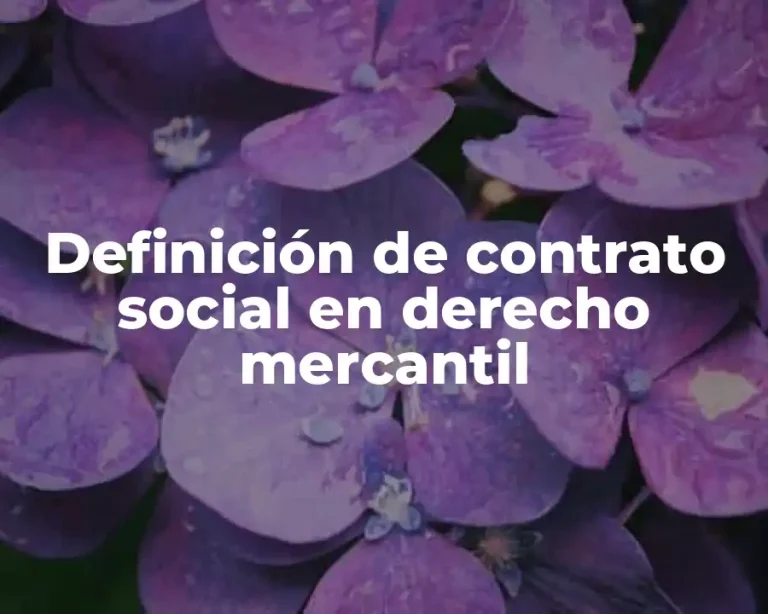 Definición de contrato social en derecho mercantil