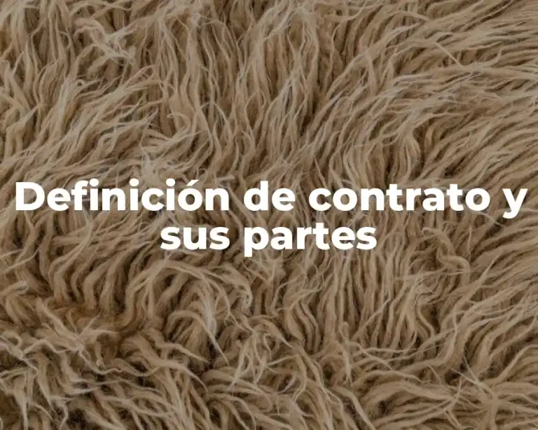 Definición de contrato y sus partes