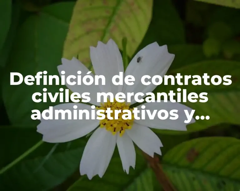 Definición de contratos civiles mercantiles administrativos y laborales