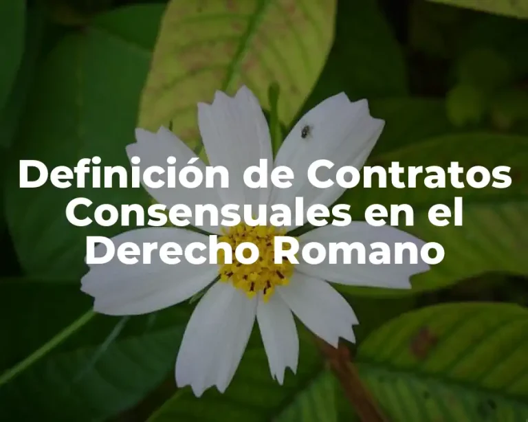 Definición de Contratos Consensuales en el Derecho Romano
