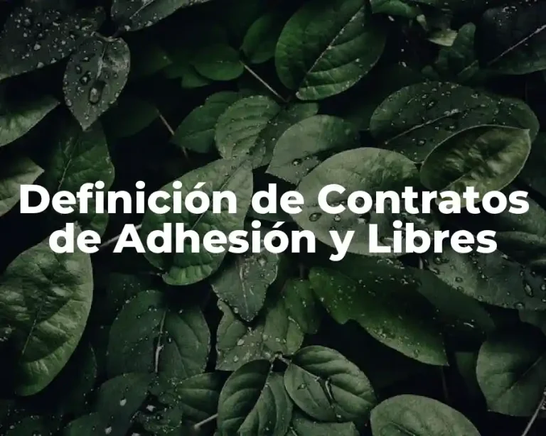 Definición de Contratos de Adhesión y Libres