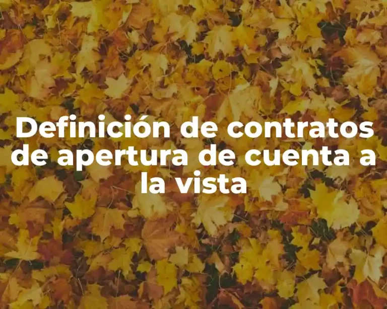 Definición de contratos de apertura de cuenta a la vista