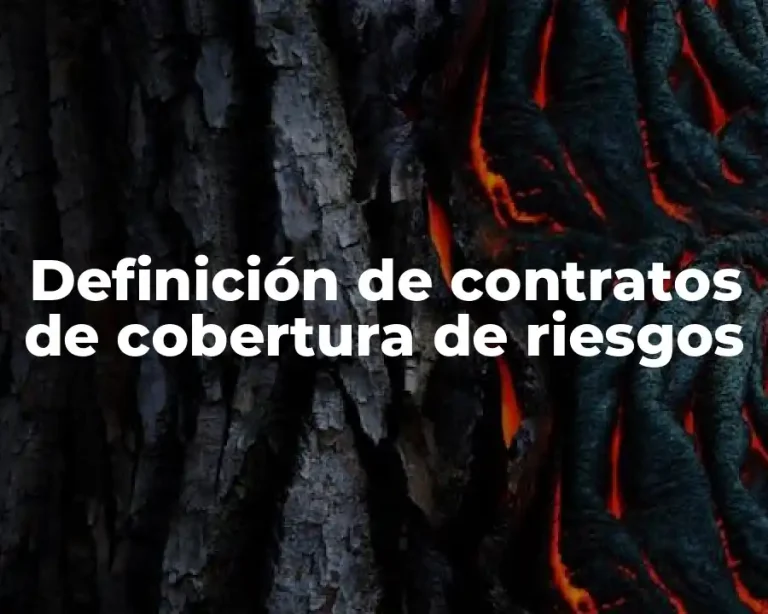 Definición de contratos de cobertura de riesgos