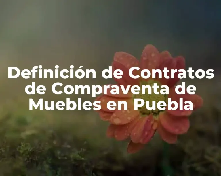 Definición de Contratos de Compraventa de Muebles en Puebla